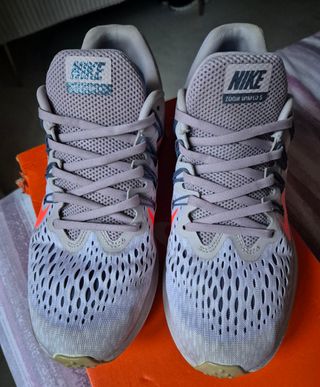 Zapatillas nike running pegasus