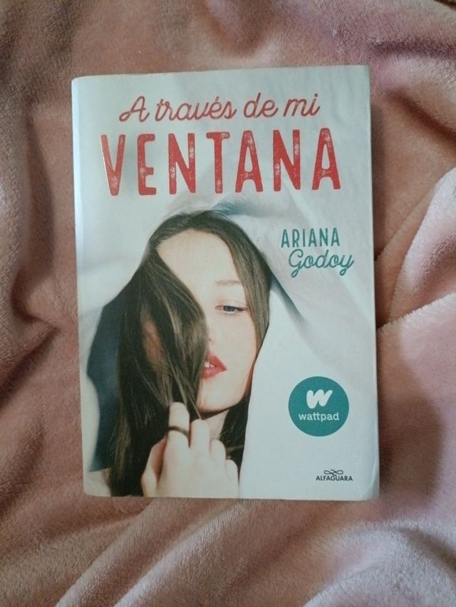 A través de mi ventana / Through My Window (Wattpad. Trilogía Hermanos Hidalgo) (Spanish Edition)