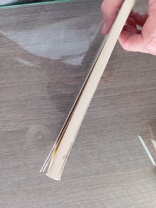 Sans Atout e il cavallo fantasma