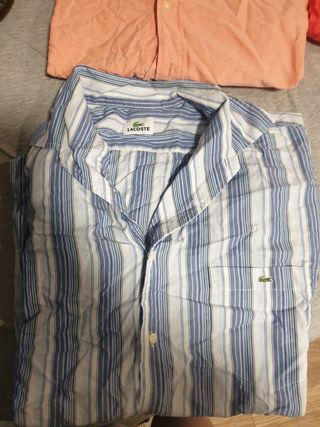 Ropa lacoste
