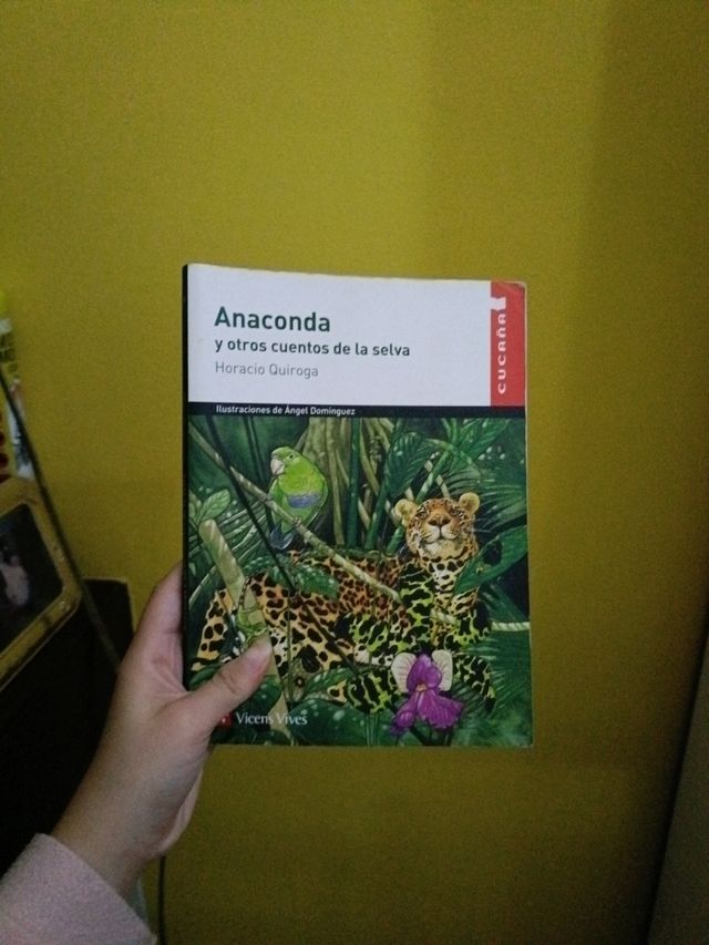 Anaconda Y Otros Cuentos N/c (Spanish Edition)
