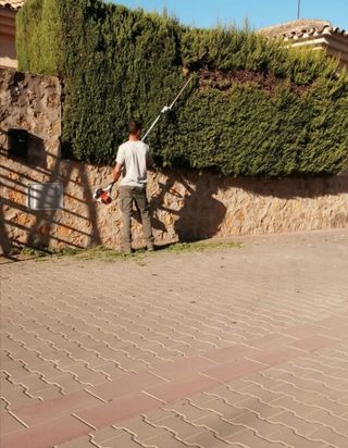 Limpieza de parcelas jardines
