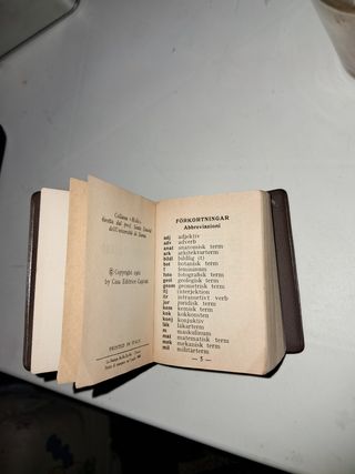 Dizionario per viaggio