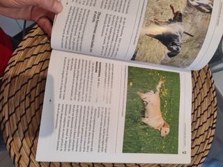 Libro adiestramiento