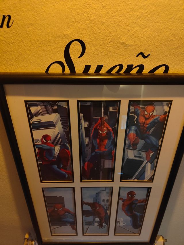 Cuadro Spiderman