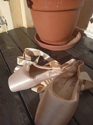 Zapatillas punta ballet