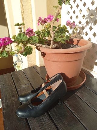 Zapatos tacón baile flamenco