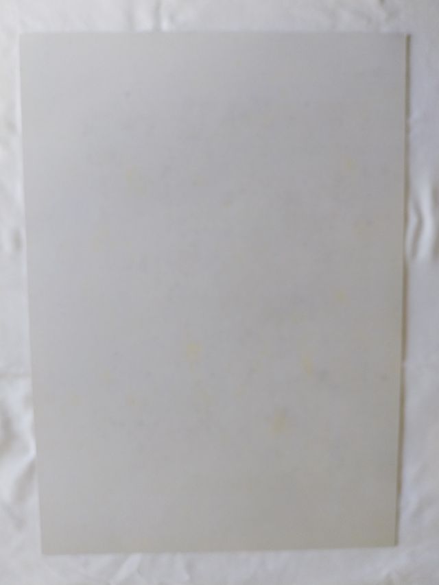 Litografías facsímil de Zaragoza