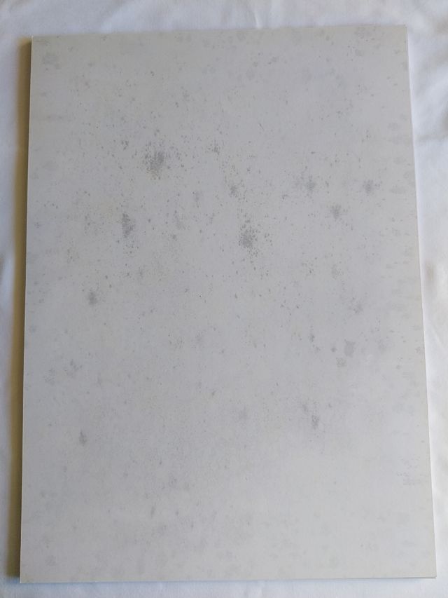 Litografía de Zamora