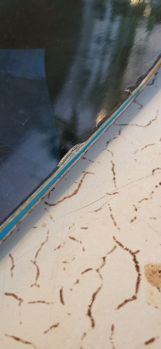 Tabla snow + fijaciones + funda.