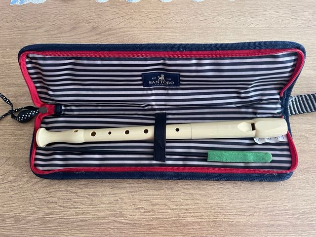 Estuche flauta