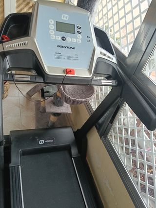 Cinta de correr Bodytone Dt14