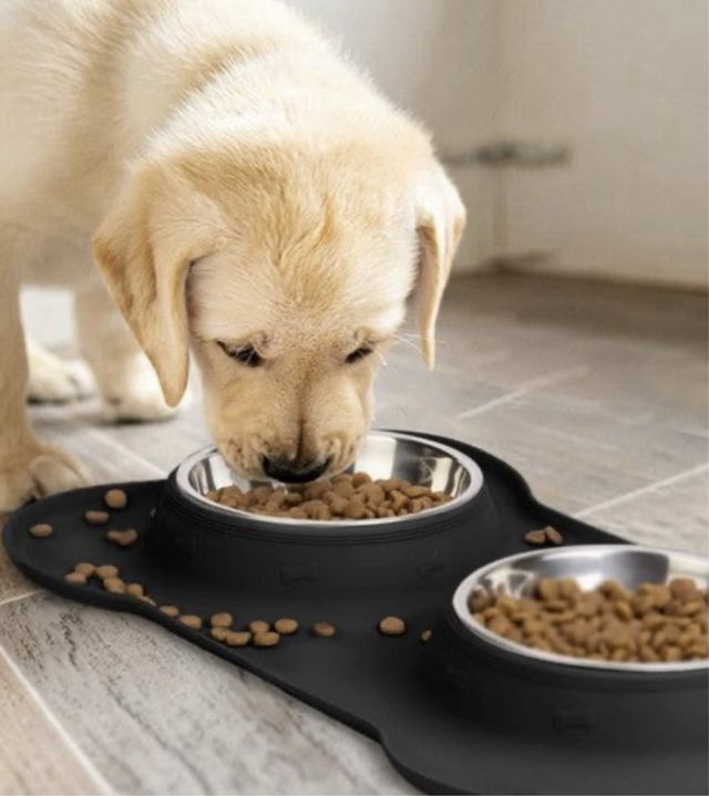 Cuenco doble para perros y gatos