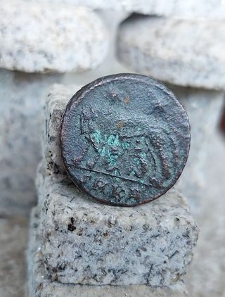 moneda Romana,Rómulo y Remo,antigua,numismatica