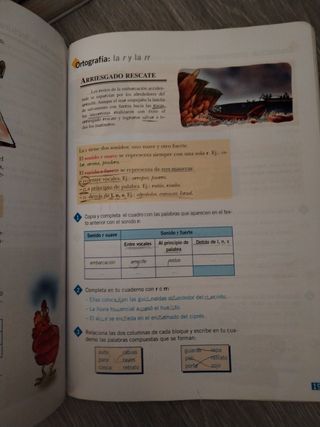 Lengua 5 primaria