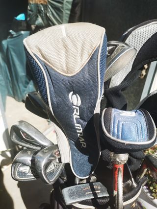 Bolsa y palos de golf