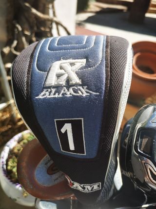 Bolsa y palos de golf