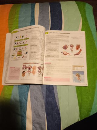 Libro 1 Bachillerato