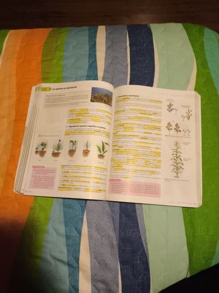 Libro 1 Bachillerato