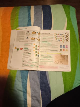 Libro 1 Bachillerato