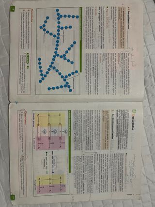 Libro Biología y Geología 1°Bachillerato Anaya