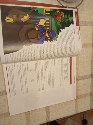 Libro Lengua Castellana y Literatura 4 Eso.