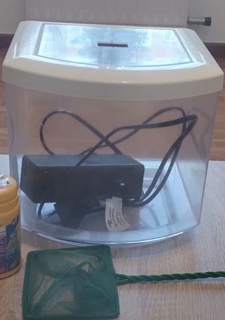 Acuario pez betta 7 litros