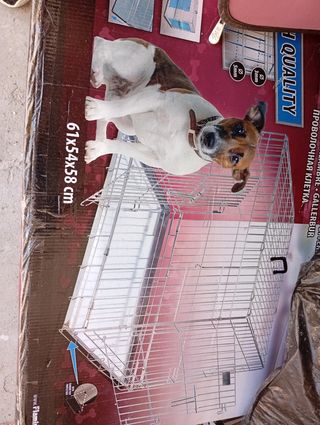 jaulas para perros