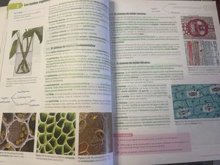 Libro Biología y Geología 1º Bachillerato SM SAVIA