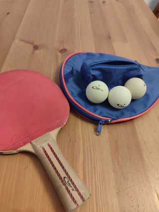 Pala ping pong