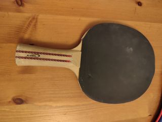 Pala ping pong