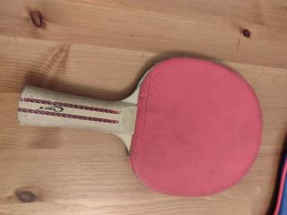 Pala ping pong