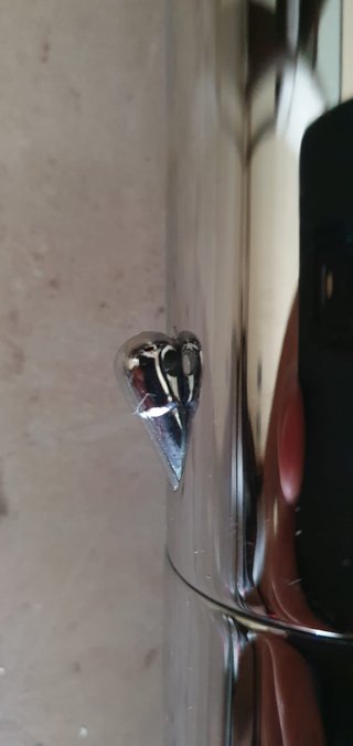 Grifo monomando caño alto marca ROVIRA