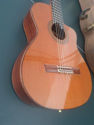 Vendo o cambio Guitarra clasica flamenca