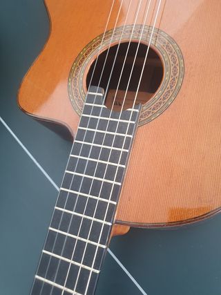 Vendo o cambio Guitarra clasica flamenca