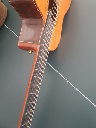 Vendo o cambio Guitarra clasica flamenca