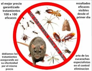 stop plagas cucarachas etc control total garantia