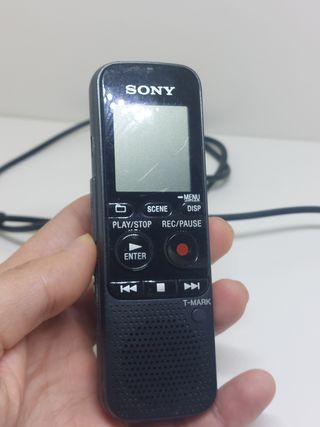 Sony px333