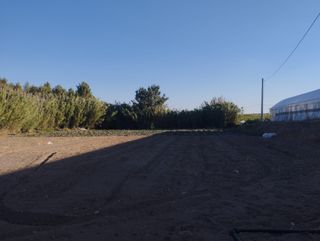 Terreno con invernaderos pozo, luz y caseta