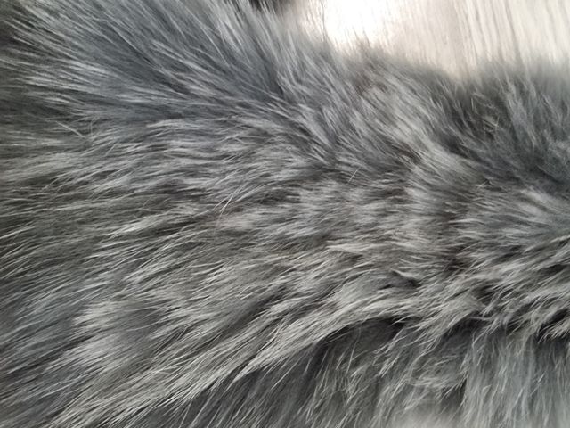 Cuello o bufanda Gris