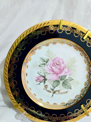 Plato decorativo de porcelana francesa Limoges