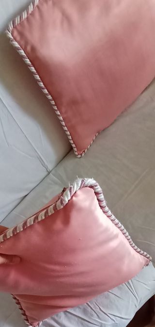 Lote de dos cojines