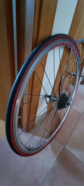 Rueda bicicleta