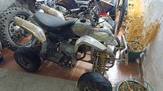 Miniquad Predator 110cc