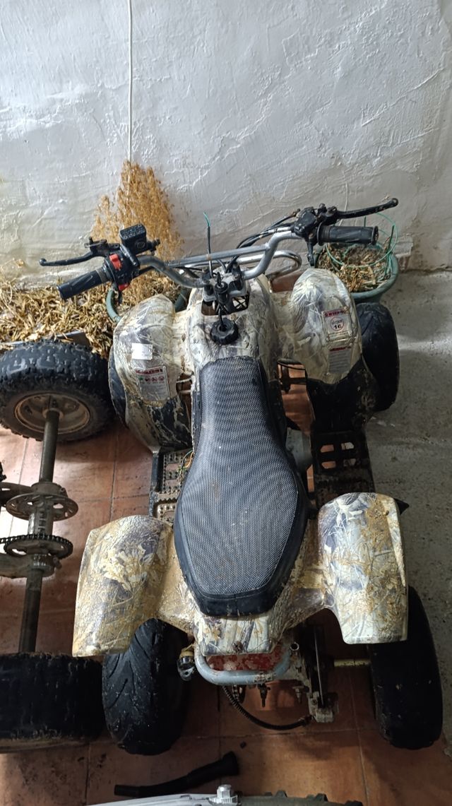 Miniquad Predator 110cc