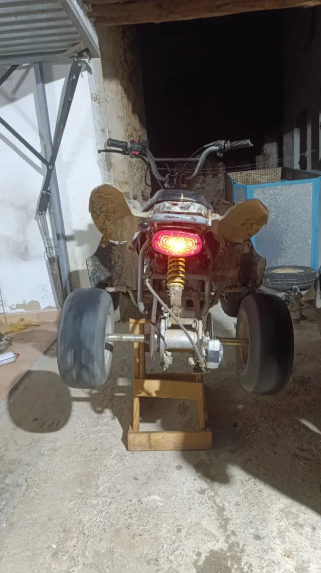 Miniquad Predator 110cc