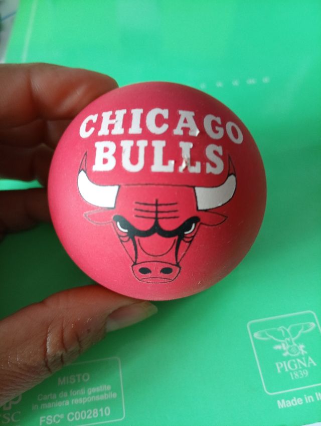 Miniatura palla da basket Chicago Bulls