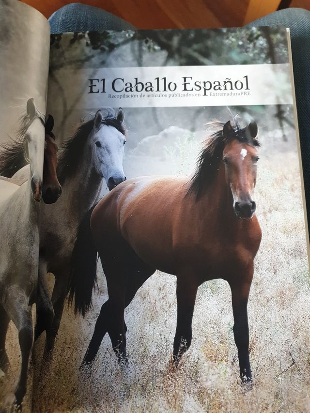 Libro El Caballo Español