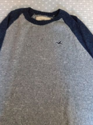  Jersey Hollister 