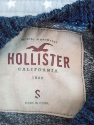  Jersey Hollister 